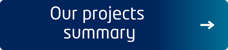 Our projects summary button